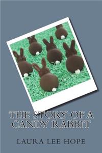 The Story of a Candy Rabbit