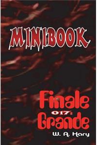 Minibook 017