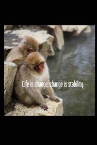 Life Is Change, Change Is Stability