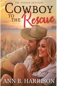 Cowboy to the Rescue