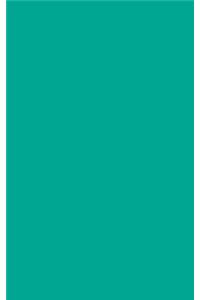 Persian Green 101 - Blank Notebook