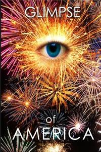 Glimpse of America vol. 8