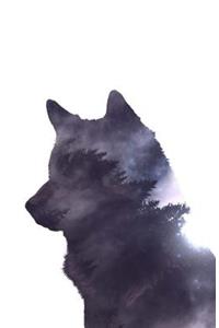 Wolf Journal