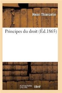 Principes Du Droit 2e Éd