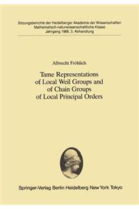 Tame Representations of Local Weil Groups and of Chain Groups of Local Principal Orders