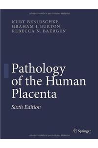 Pathology of the Human Placenta