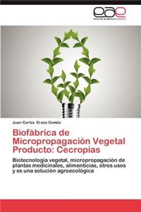 Biofabrica de Micropropagacion Vegetal Producto