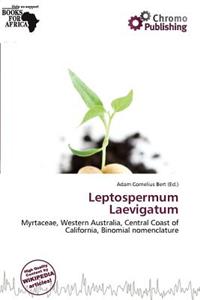 Leptospermum Laevigatum