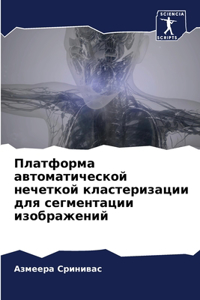Платформа автоматической нечеткой клас