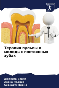 Терапия пульпы в молодых постоянных зубах