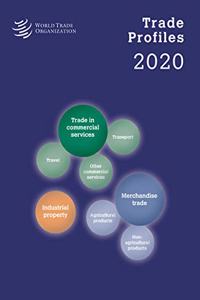 Profils Commerciaux 2020