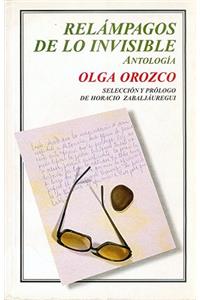 Relampagos de Lo Invisible. Antologia