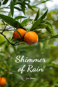 Shimmer of Rain