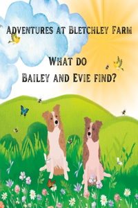 Adventures at Bletchley Farm