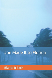 Joe Made It to Florida