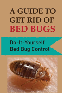 Guide To Get Rid Of Bed Bugs