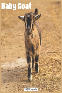 Baby Goat 2021 Calendar