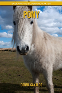 Pony
