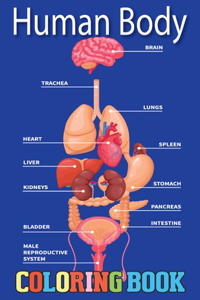 Human Body Coloring Book