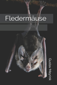 Fledermäuse