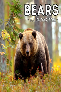 Bears Calendar 2021