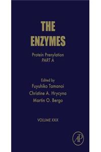 The Enzymes