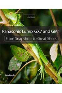Panasonic Lumix GX7 and GM1