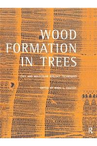 Wood Formation in Trees
