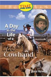 A Day in the Life of a Cowhand