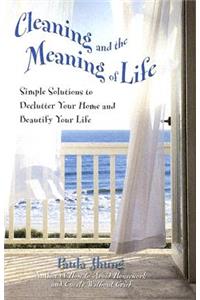 Cleaning and the Meaning of Life