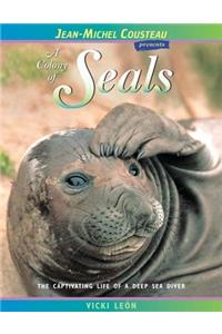 A Colony of Seals