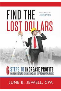 Find the Lost Dollars
