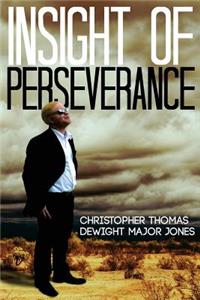 Insight Of Perseverance