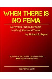 When There is No FEMA