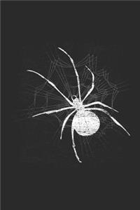 The Spider