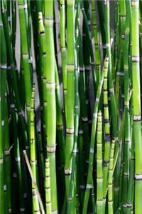 Vivid Green Bamboo Reeds Journal