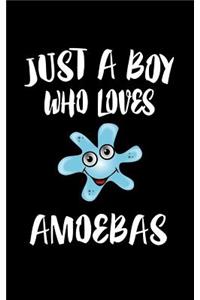 Just A Boy Who Loves Amoebas