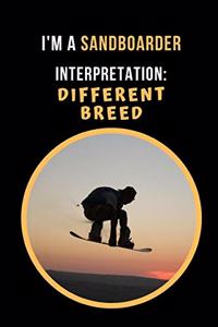 I'm A Sandboarder.. Interpretation
