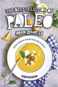The Best Selection of Paleo Main Dishes II