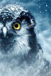 Owl in Blue Journal