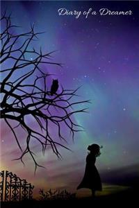 Diary of a Dreamer