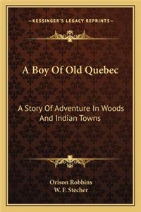 A Boy Of Old Quebec