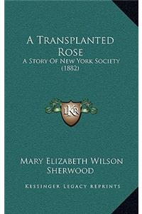 A Transplanted Rose