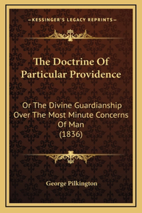The Doctrine Of Particular Providence