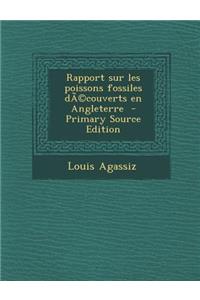 Rapport Sur Les Poissons Fossiles Decouverts En Angleterre
