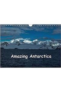 Amazing Antarctica 2018
