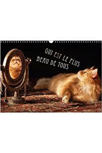 Qui Est Le Plus Beau De Tous 2018
