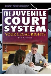 Juvenile Court System