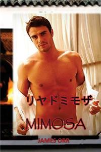 Riad Mimosa