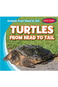 Turtles from Head to Tail